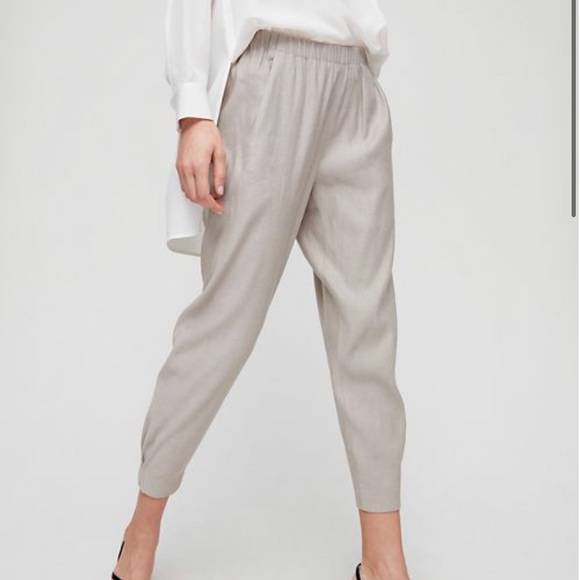 Babaton Pants - Aritzia Babaton Dexter Pant